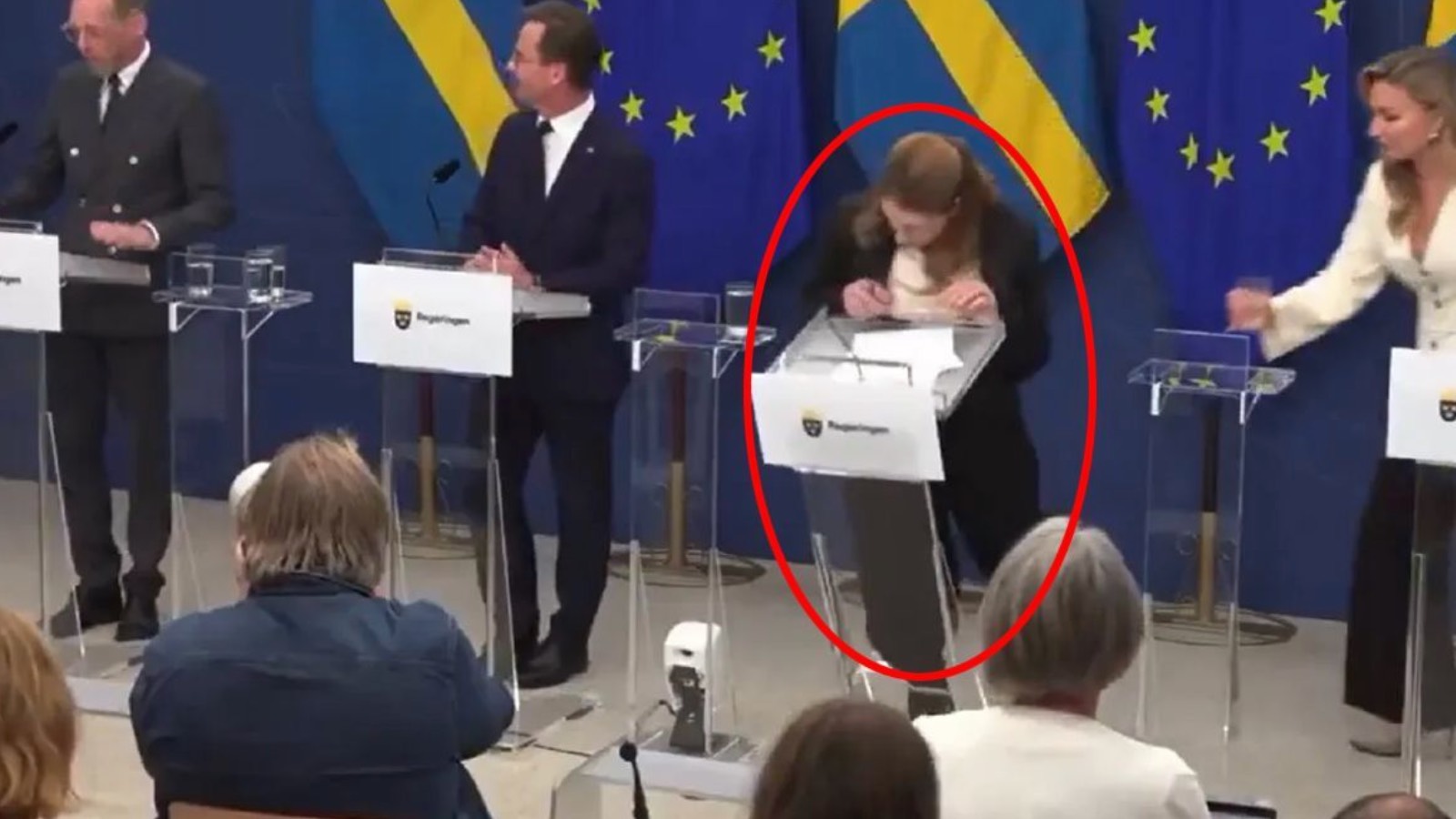 isvecin yeni saglik bakani lann basin toplantisinda bayildi yJlwgKIt