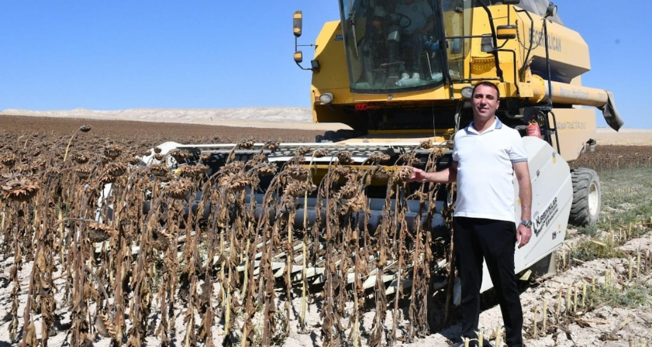 kilo kilo toplaniyor belediyeye gelir kapisi oluyor yilin en verimli hasadi basladi B28uVpzz