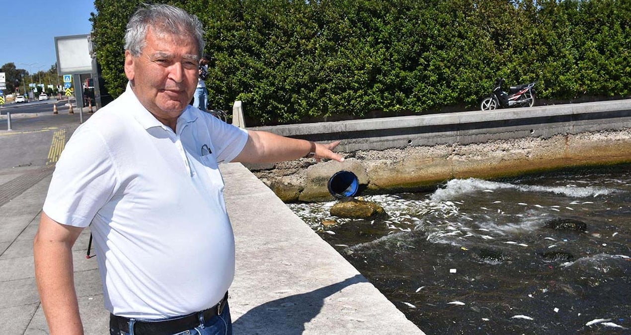 tedirgin eden goruntu buralarda sakin balik tuketmeyin 78HkQwkI