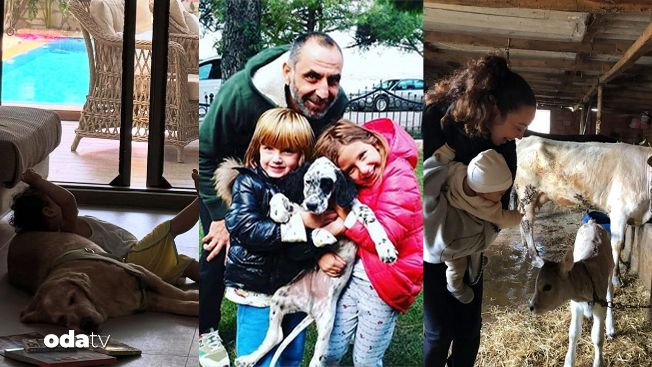 unlulerin cocuklari ve hayvanlariyla renkli kareleri 8vzDP724