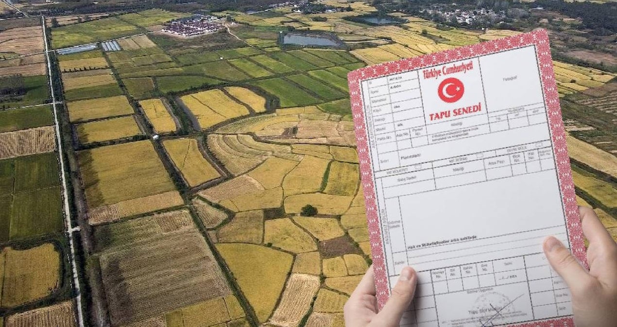 13 bin lirasi olan tapu sahibi olacak milli emlaktan dev arsa firsati gyR2W3G6.jpg