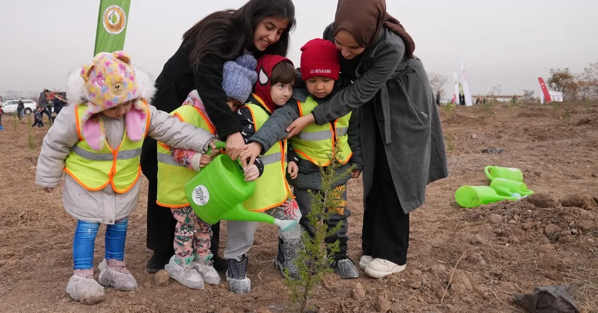 milli agaclandirma icin hazirliklar tamam 7g43edRy.webp