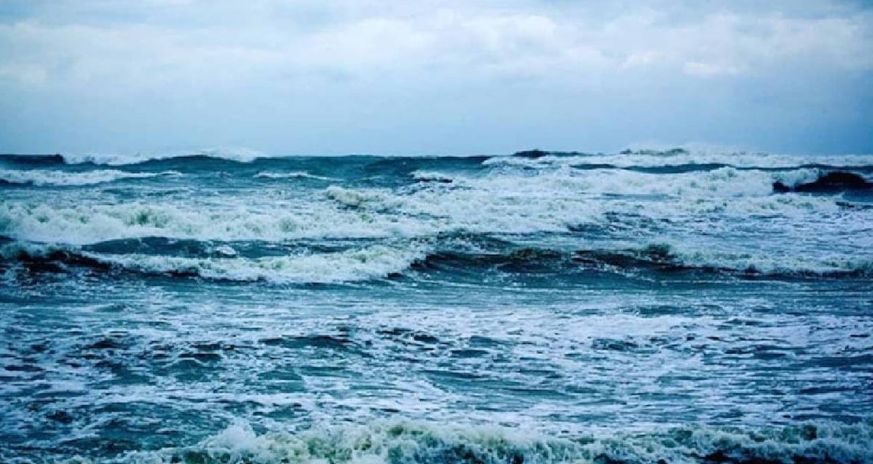Okyanusların Dengesizliği: 40 Yıldır Süren Yaşam Hattı Kayboldu