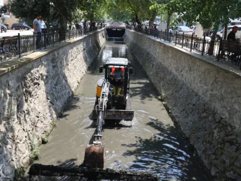Img